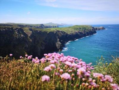 Middle Cottage Sandy Haven Beach Milford Haven Buitenkant foto
